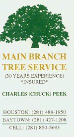 Main Branch Tree Service 281-850-5693