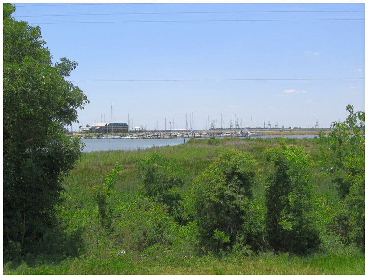 Bayland Marina - Baytown Texas - Waterfront District 