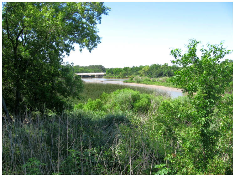 Goose Creek Estuary at Park Street towards Decker Drive - Baytown, Texas 