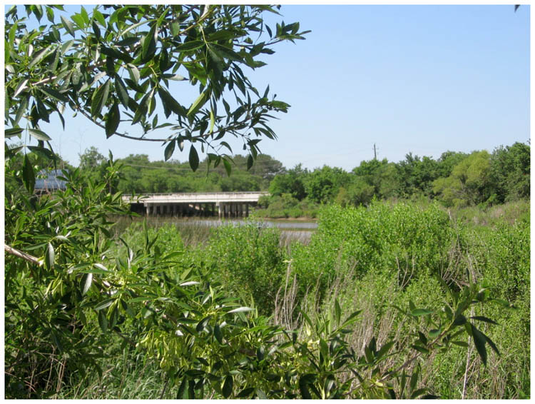 Goose Creek Estuary at Park Street - Baytown, Texas