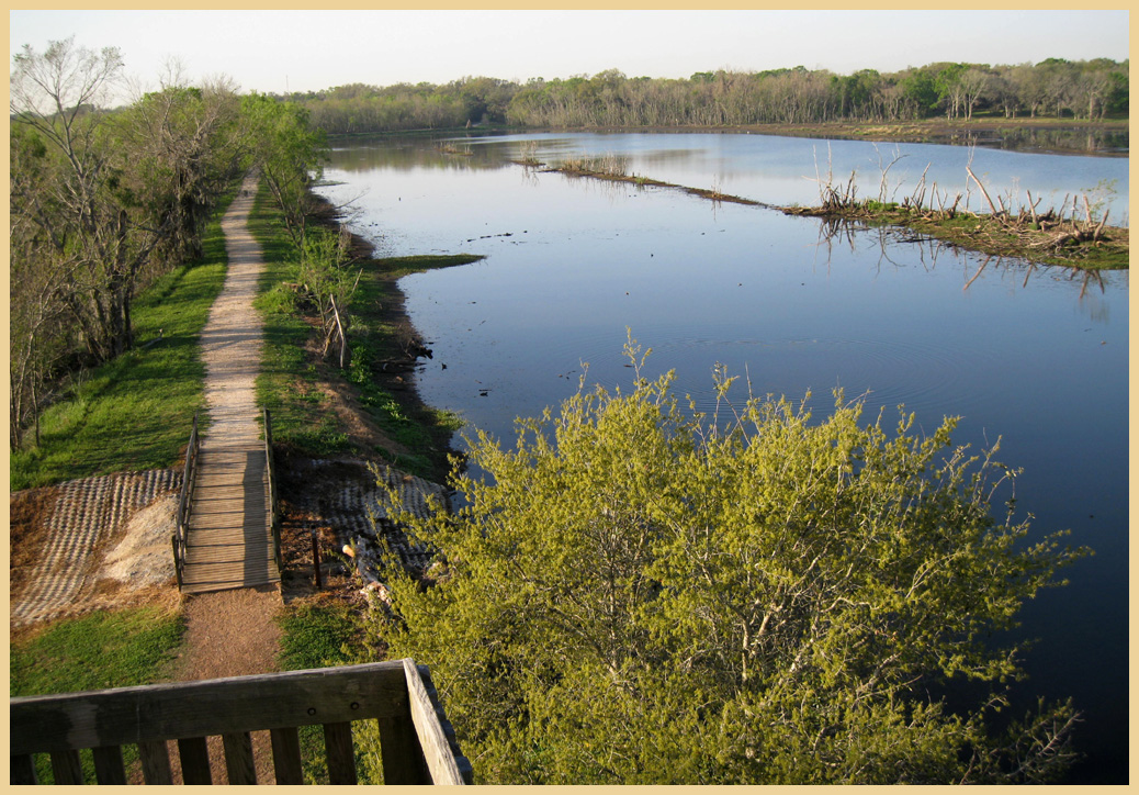 Brazos Bend State Park - Texas Parks and Wildlife - 40 Acre Lake Trail