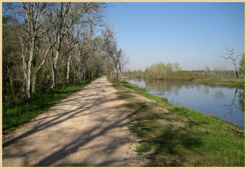 Brazos Bend State Park - Texas Parks and Wildlife - Elm Lake Trail 