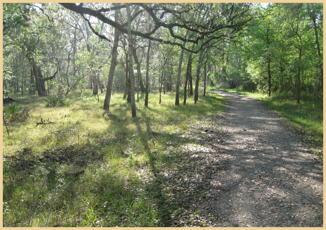 Brazos Bend State Park - Texas Parks and Wildlife - Pilant Slough Foot Trail 