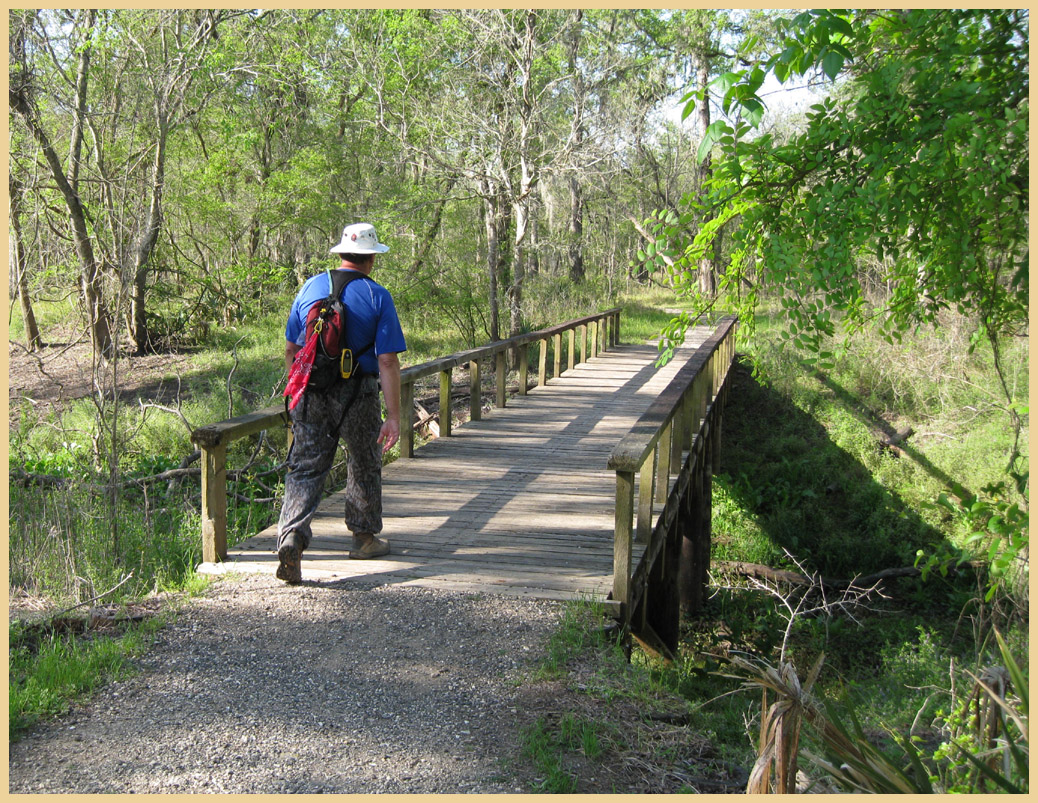 Brazos Bend State Park - Texas Parks and Wildlife - Pilant Slough Foot Trail - Baytown Bert