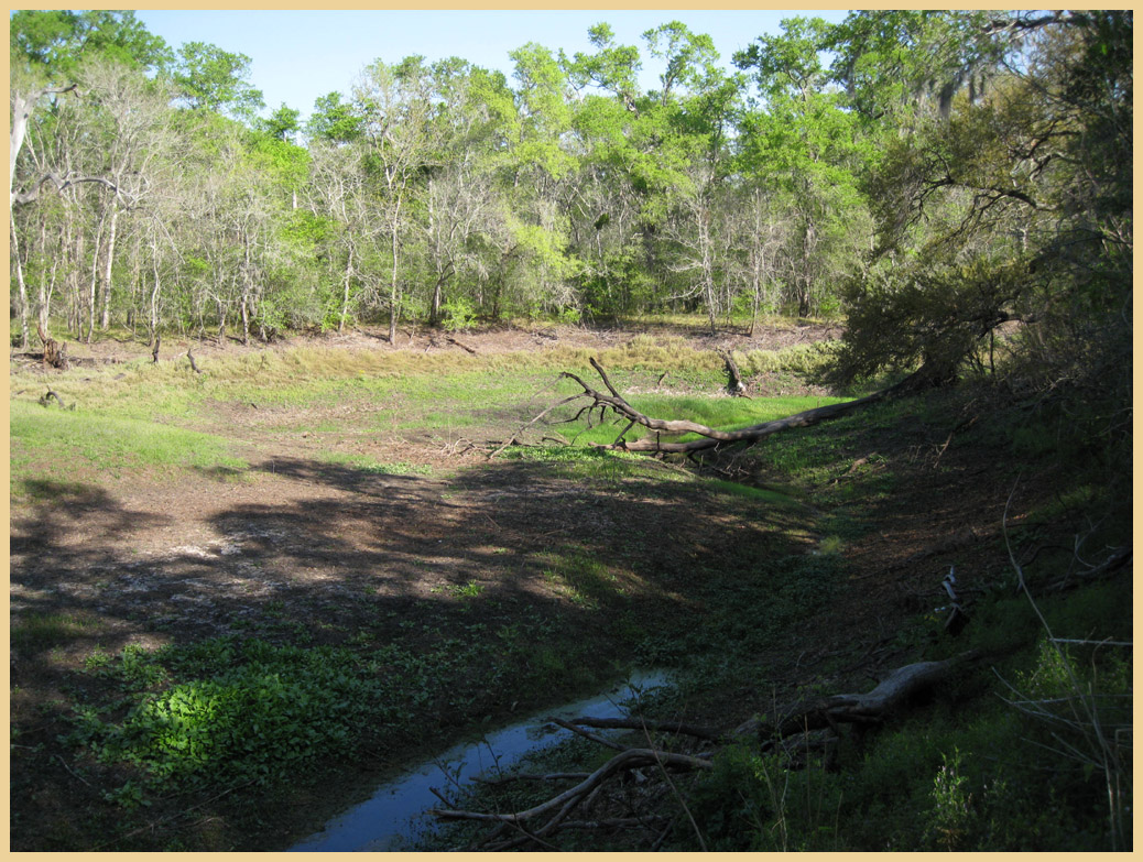 Brazos Bend State Park - Texas Parks and Wildlife - Pilant Slough Foot Trail