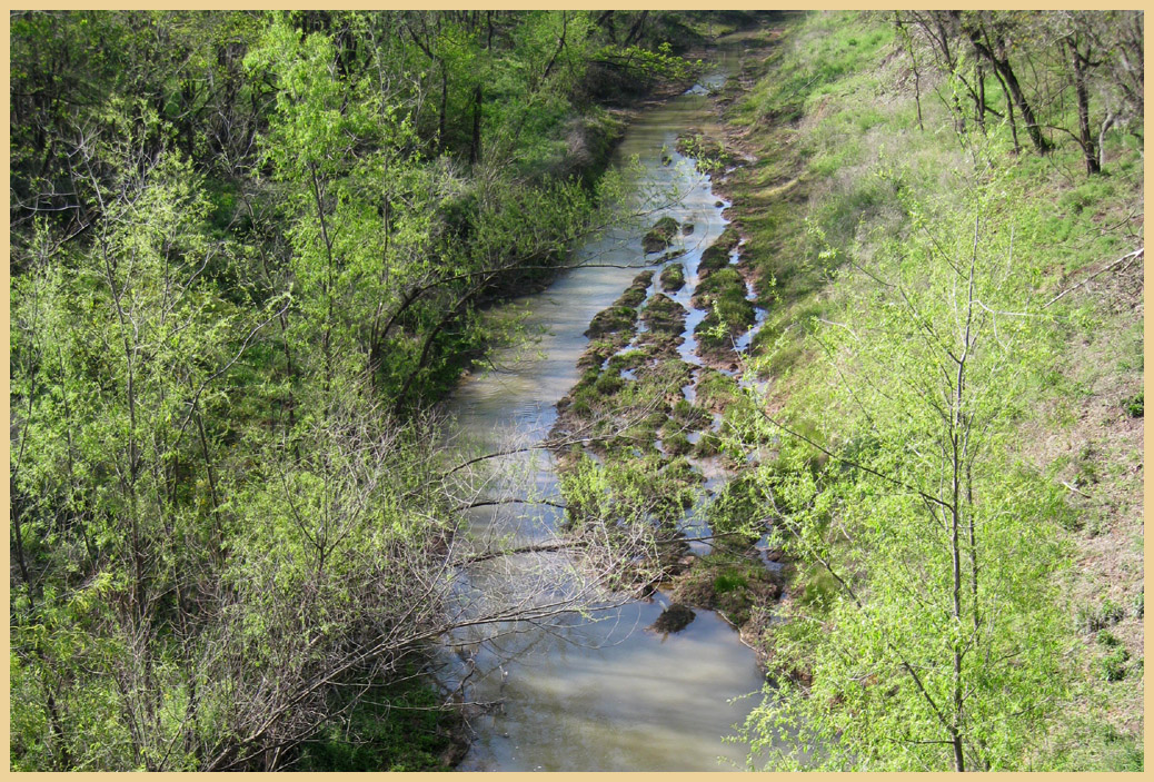 Brazos Bend State Park - Texas Parks and Wildlife - Big Creek 