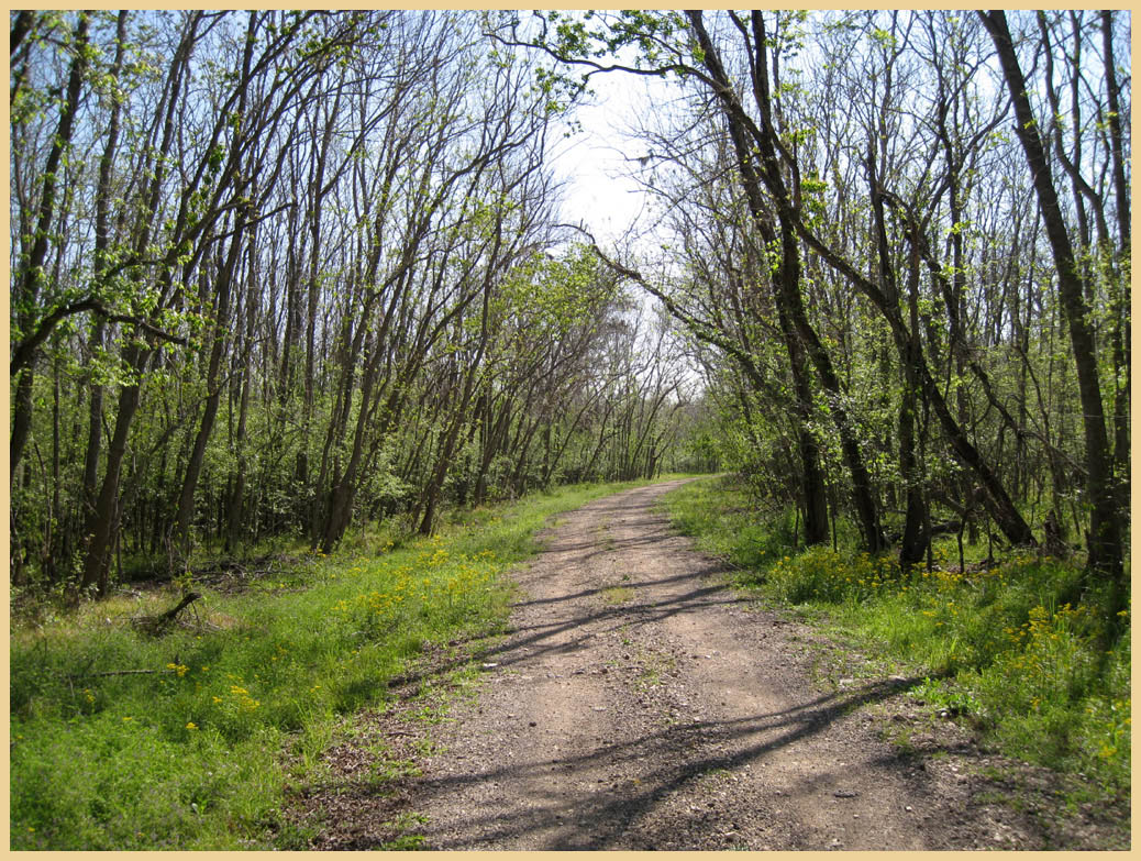 Brazos Bend State Park - Texas Parks and Wildlife - White Oak Trail