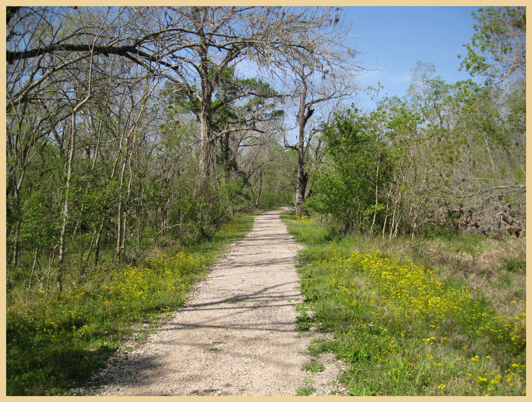 Brazos Bend State Park - Texas Parks and Wildlife - White Oak Trail