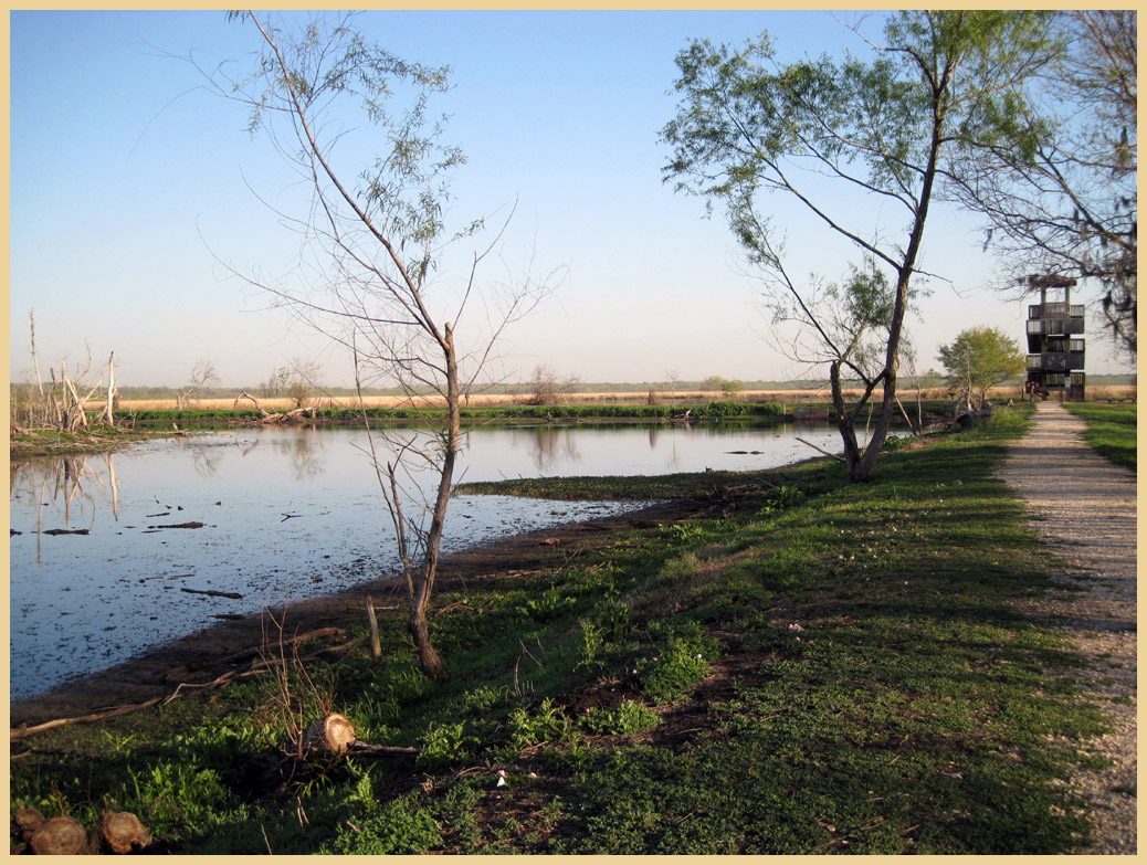 Brazos Bend State Park - Texas Parks and Wildlife - 40 Acre Lake Trail