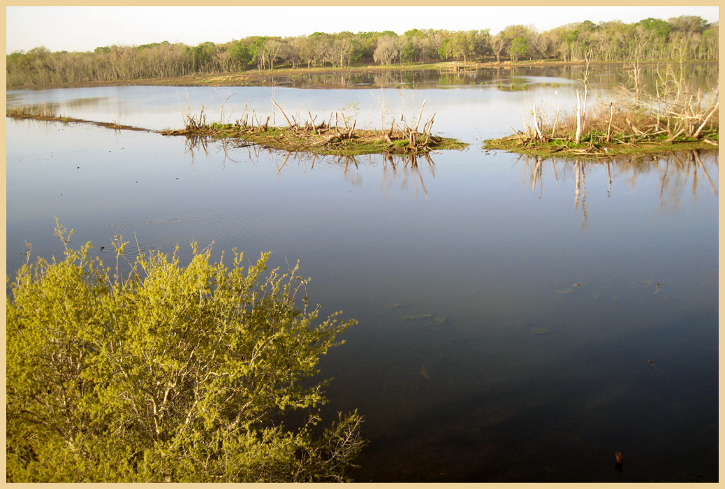 Brazos Bend State Park - Texas Parks and Wildlife - 40 Acre Lake Trail