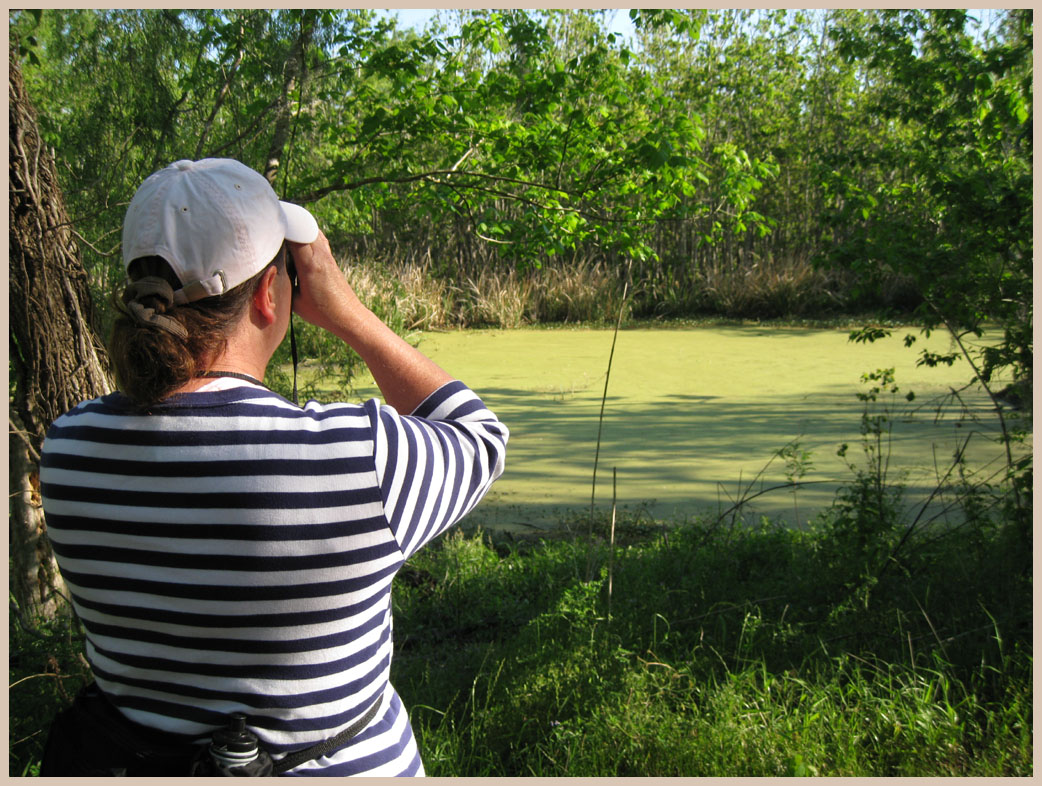 Brazos Bend State Park - Texas Parks and Wildlife - Spillway Trail