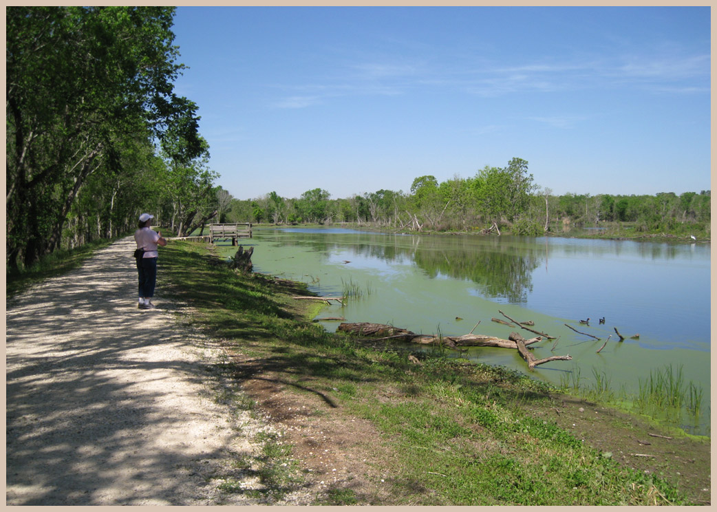 Brazos Bend State Park - Texas Parks and Wildlife - Elm Lake Trail 