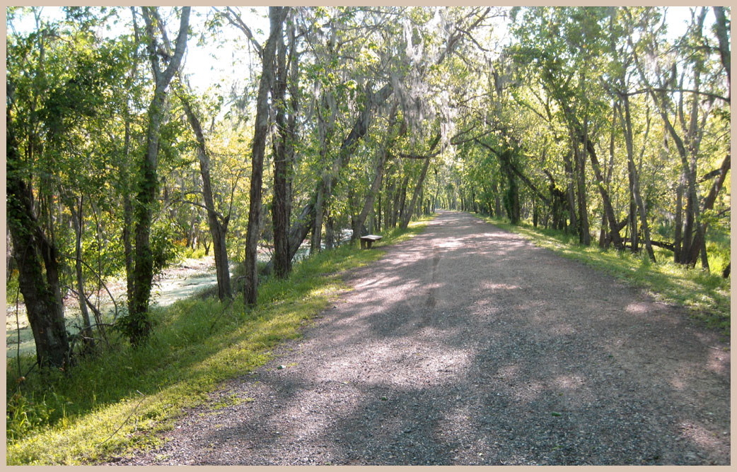 Brazos Bend State Park - Texas Parks and Wildlife - Spillway Trail