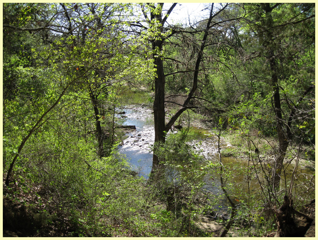 McKinney Falls State Park - the Rock Shelter Trail - the best trail in the park.