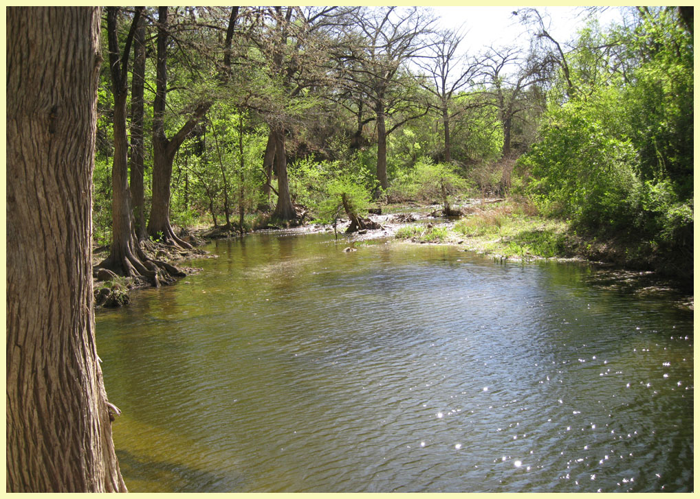 McKinney Falls State Park - the Rock Shelter Trail - the best trail in the park.