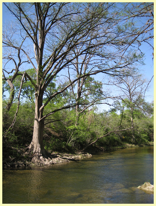 McKinney Falls State Park - the Rock Shelter Trail - the best trail in the park.