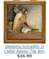 Visit OurBaytown's Custom Graphic store!