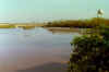 Goose Creek wetland at the Park Street Bridge.  Pic by Bert Marshall