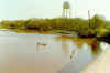 Goose Creek as it crosses Park Street.  Pic by Bert Marshall