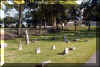 HILL_OF_REST_BABYLAND2.JPG (85998 bytes)