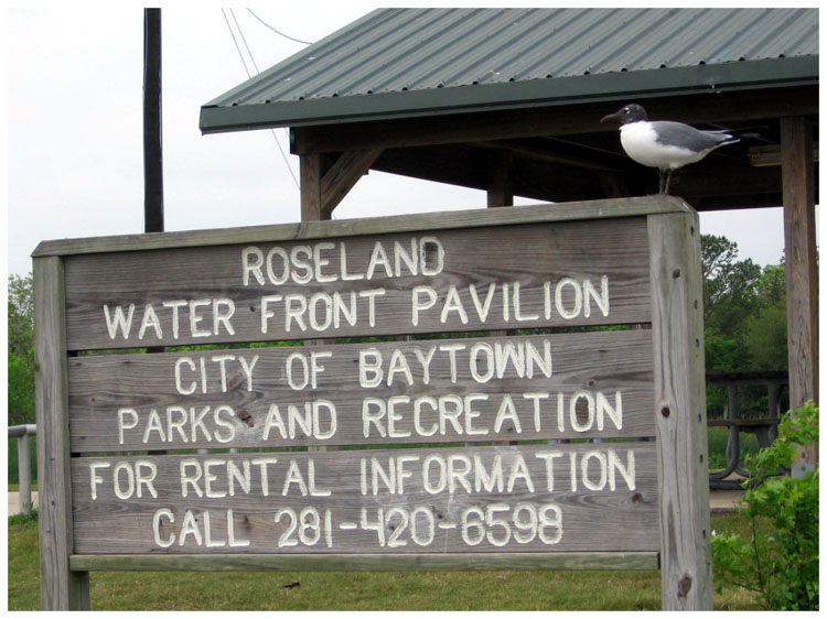 Roseland Park Pavilion - Baytown, Texas